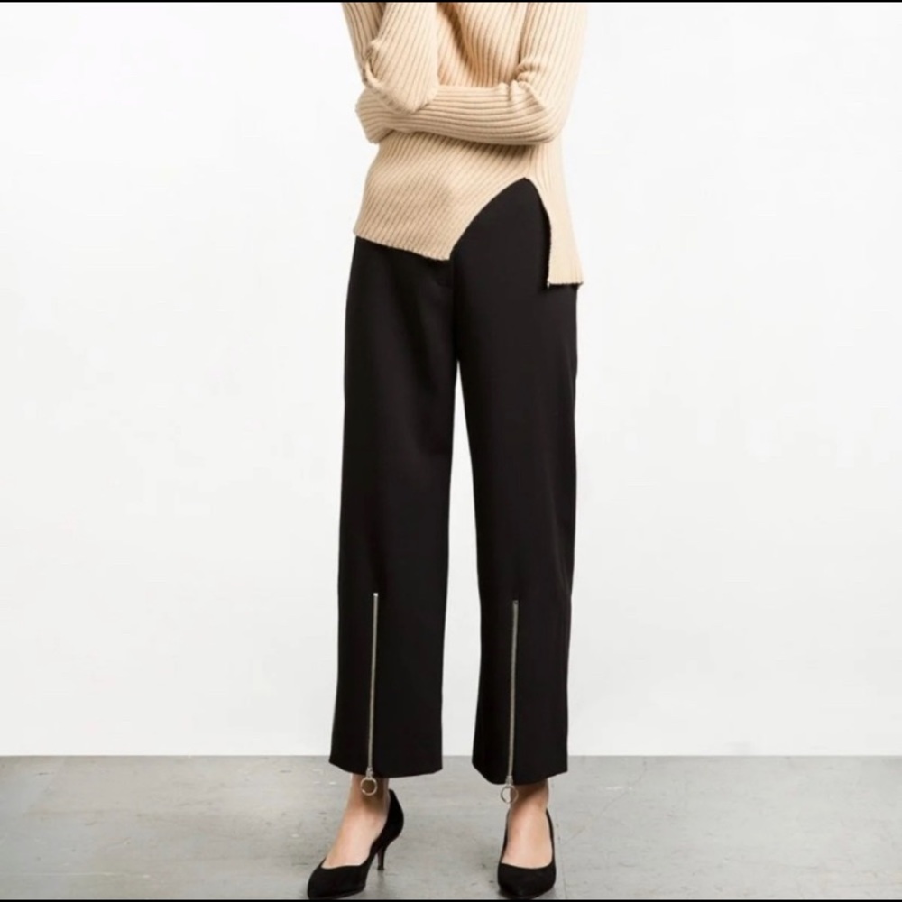 Pixie Market Ring Pull Zipper Black Pants - image 3